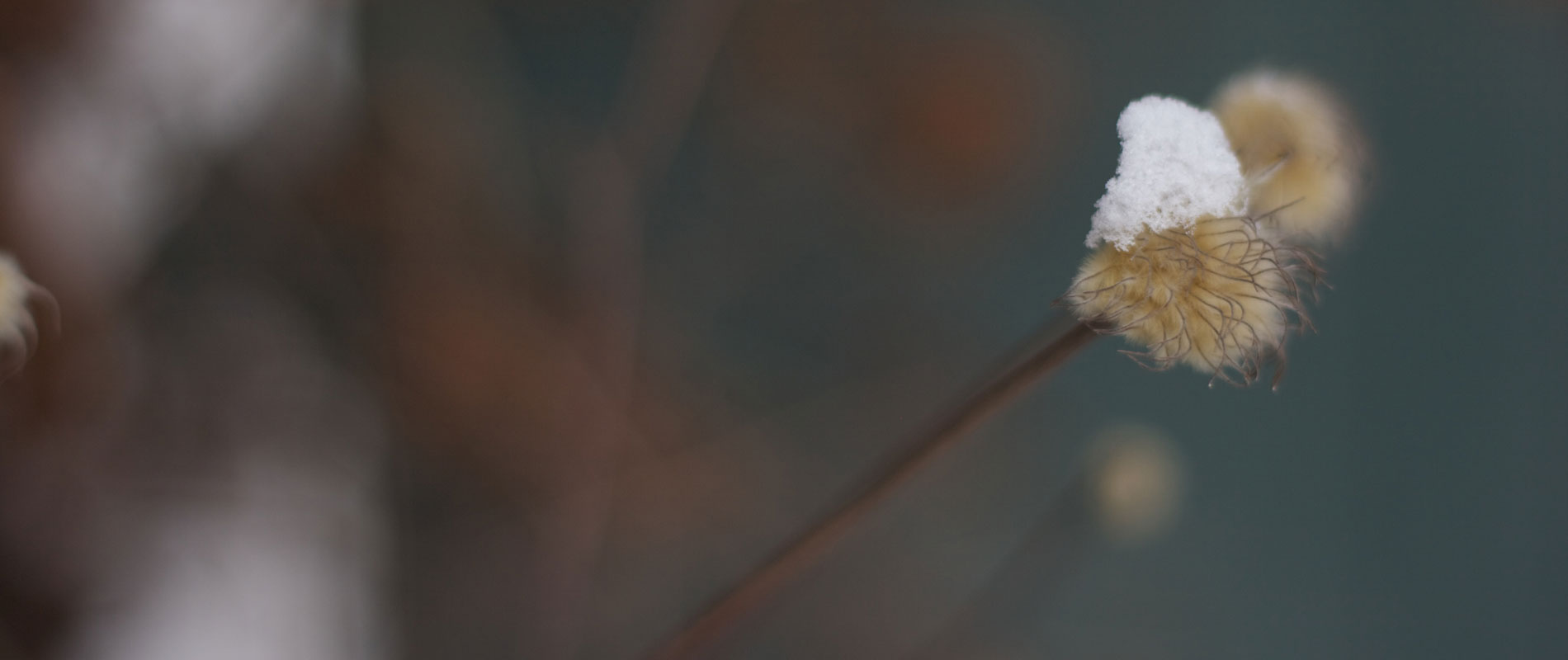 Sample Post – Dear Lukie,